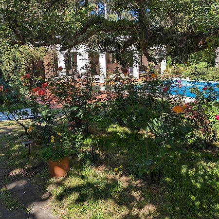 Casa Pura Vida Hotel Punta Ballena Kültér fotó